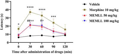 Chemical characterization, assessment of acute oral toxicity, and antinociceptive potential of the methanolic extract of Montrichardia linifera (Arruda) Schott leaves from Brazil